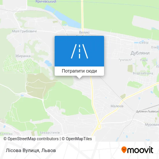 Карта Лісова Вулиця
