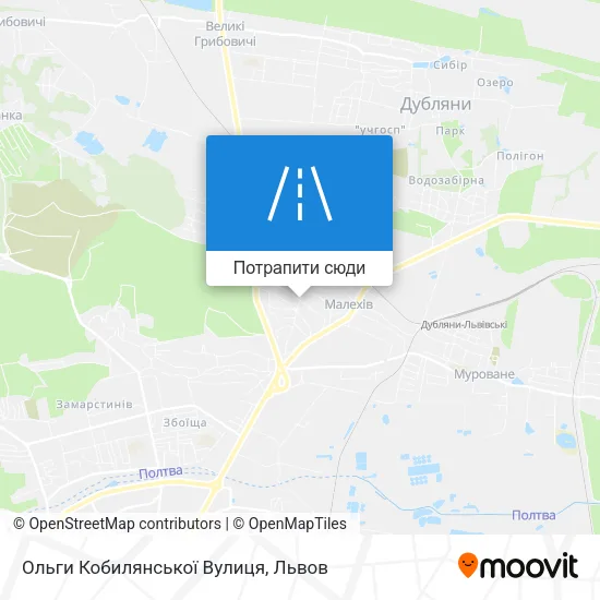 Карта Ольги Кобилянської Вулиця