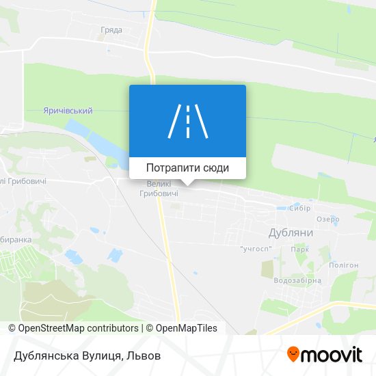 Карта Дублянська Вулиця