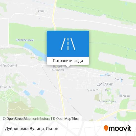 Карта Дублянська Вулиця