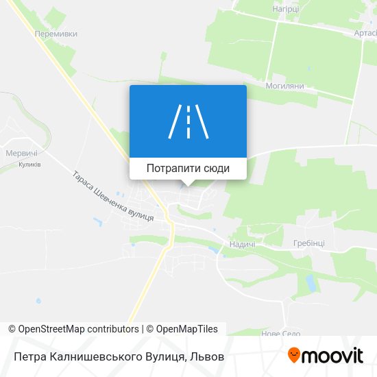 Карта Петра Калнишевського Вулиця
