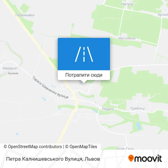 Карта Петра Калнишевського Вулиця