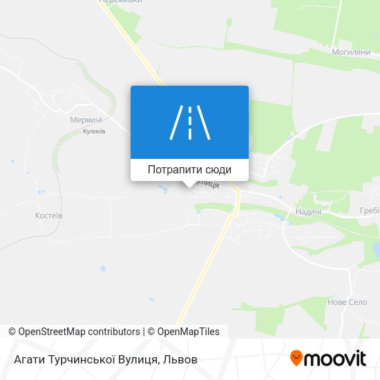 Карта Агати Турчинської Вулиця