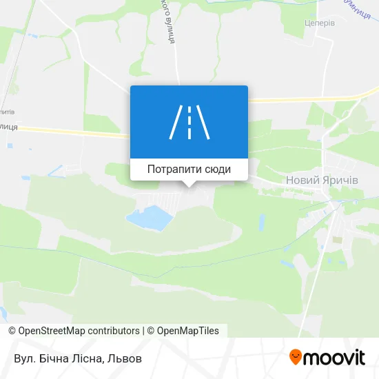 Карта Вул. Бічна Лісна