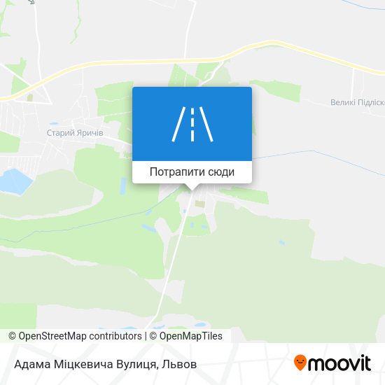 Карта Адама Міцкевича Вулиця