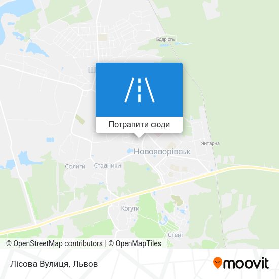 Карта Лісова Вулиця