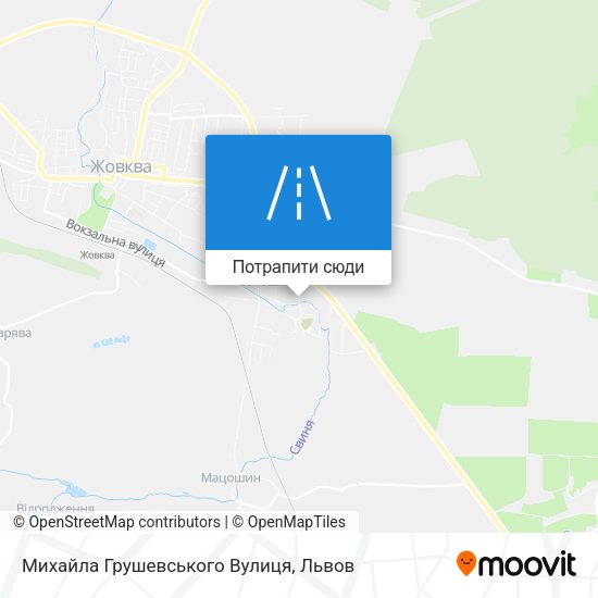 Карта Михайла Грушевського Вулиця