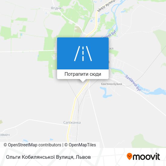 Карта Ольги Кобилянської Вулиця