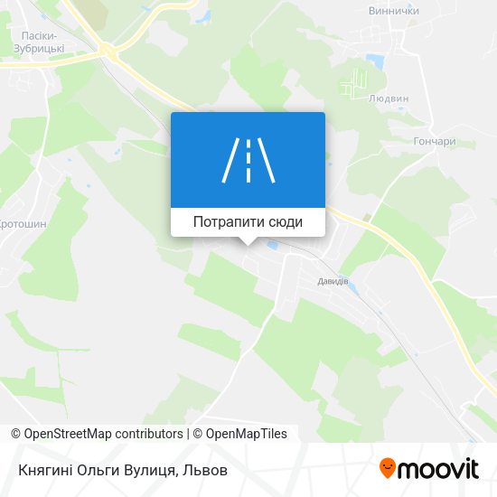 Карта Княгині Ольги Вулиця