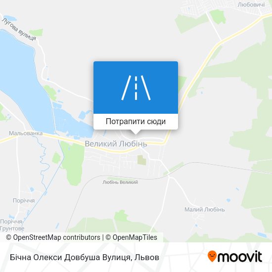 Карта Бічна Олекси Довбуша Вулиця