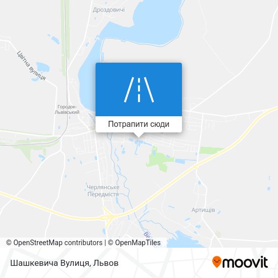 Карта Шашкевича Вулиця
