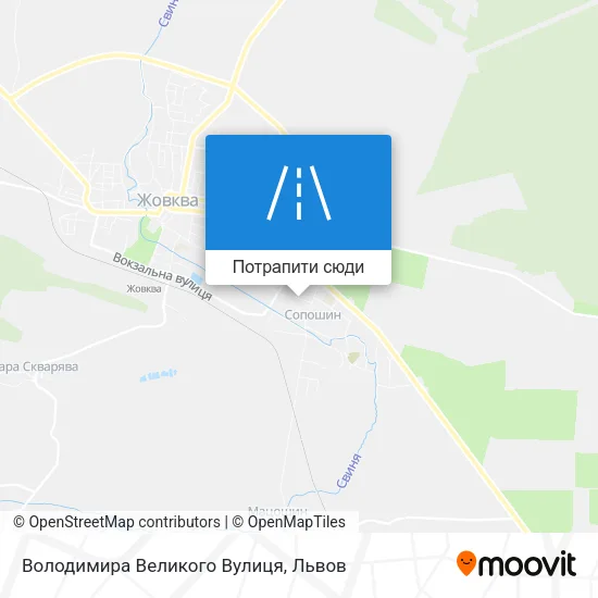 Карта Володимира Великого Вулиця