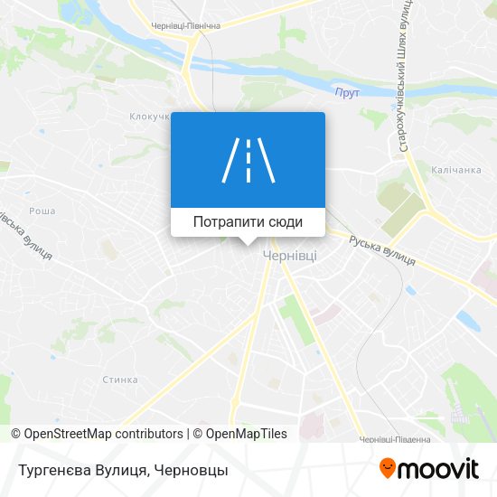 Карта Тургенєва Вулиця