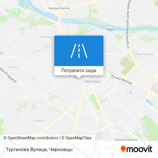 Карта Тургенєва Вулиця