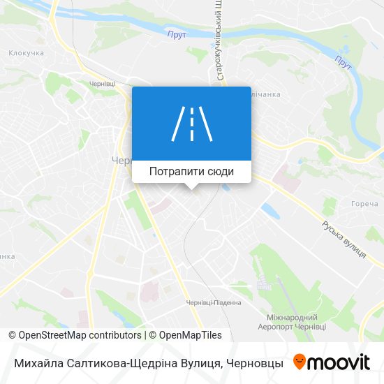 Карта Михайла Салтикова-Щедріна Вулиця
