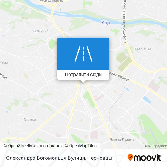 Карта Олександра Богомольця Вулиця