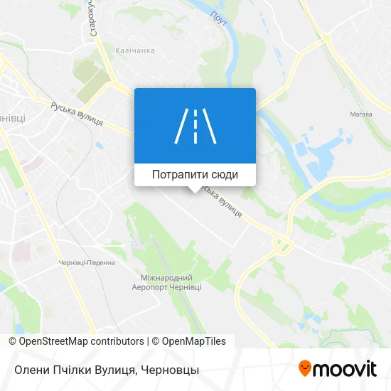 Карта Олени Пчілки Вулиця