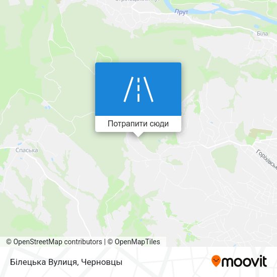 Карта Білецька Вулиця