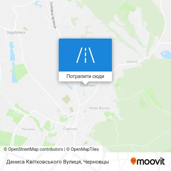 Карта Дениса Квітковського Вулиця
