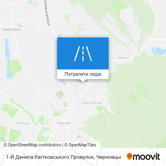 Карта 1-Й Дениса Квітковського Провулок