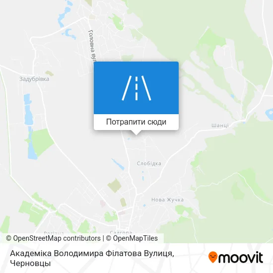 Карта Академіка Володимира Філатова Вулиця