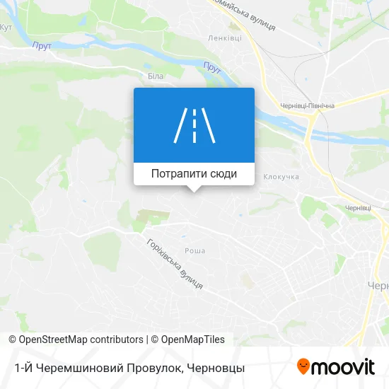 Карта 1-Й Черемшиновий Провулок