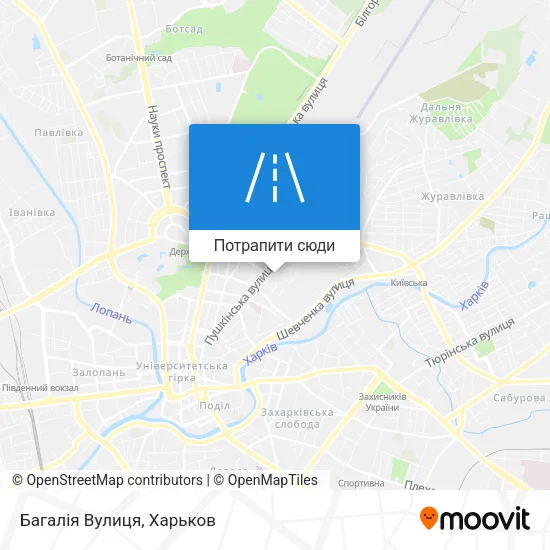 Карта Багалія Вулиця