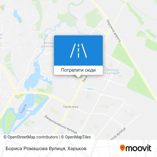 Карта Бориса Ромашова Вулиця
