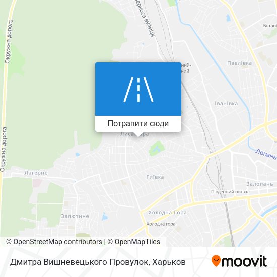 Карта Дмитра Вишневецького Провулок
