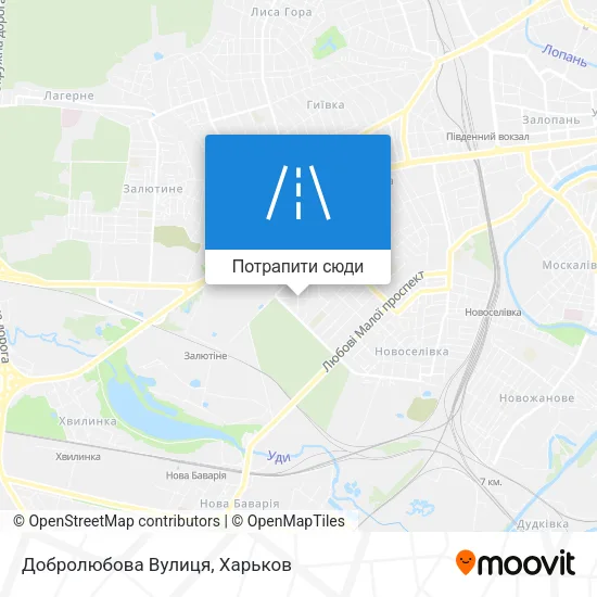 Карта Добролюбова Вулиця