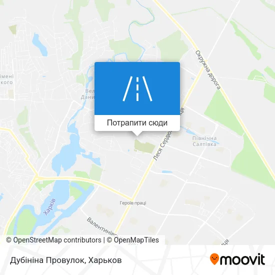 Карта Дубініна Провулок