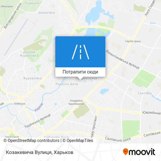 Карта Козакевича Вулиця