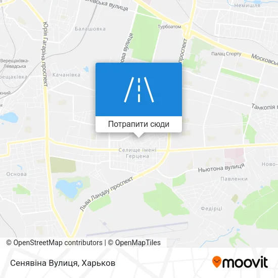 Карта Сенявіна Вулиця