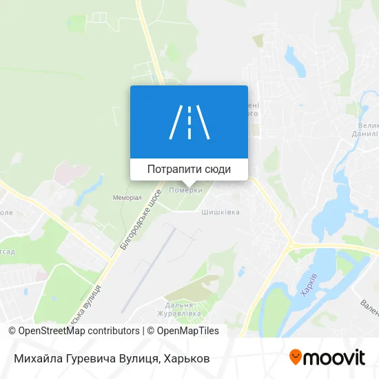 Карта Михайла Гуревича Вулиця