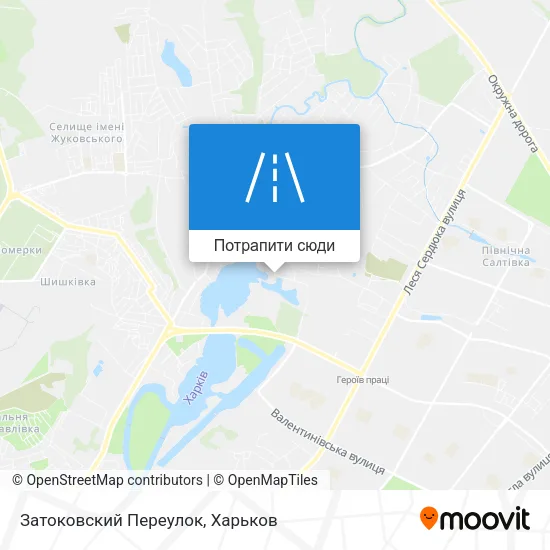 Карта Затоковский Переулок