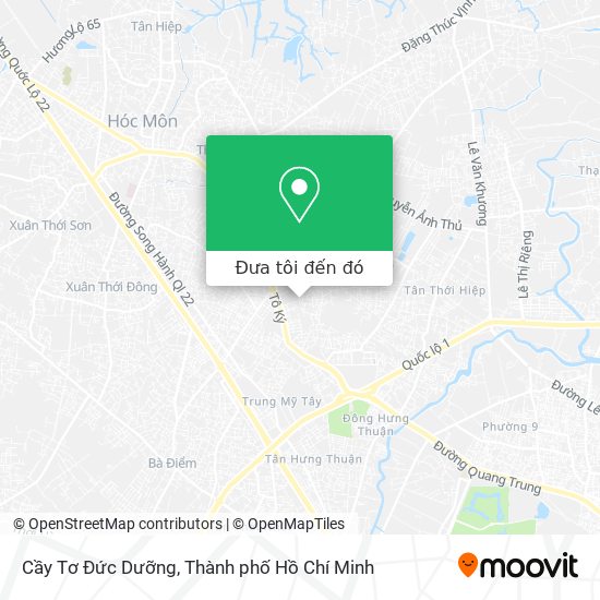 Bản đồ Cầy Tơ Đức Dưỡng