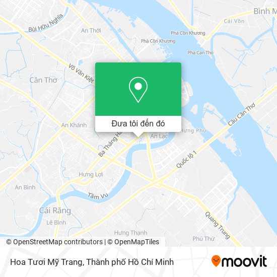 Bản đồ Hoa Tươi Mỹ Trang