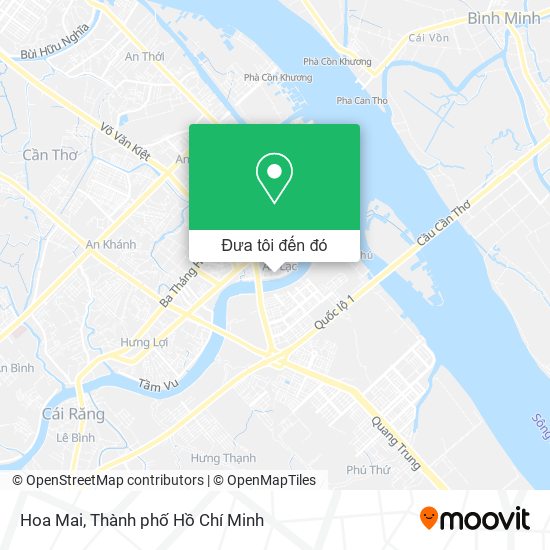 Bản đồ Hoa Mai