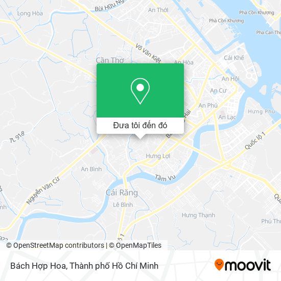 Bản đồ Bách Hợp Hoa