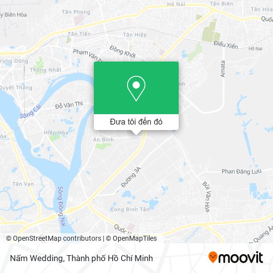Bản đồ Nấm Wedding