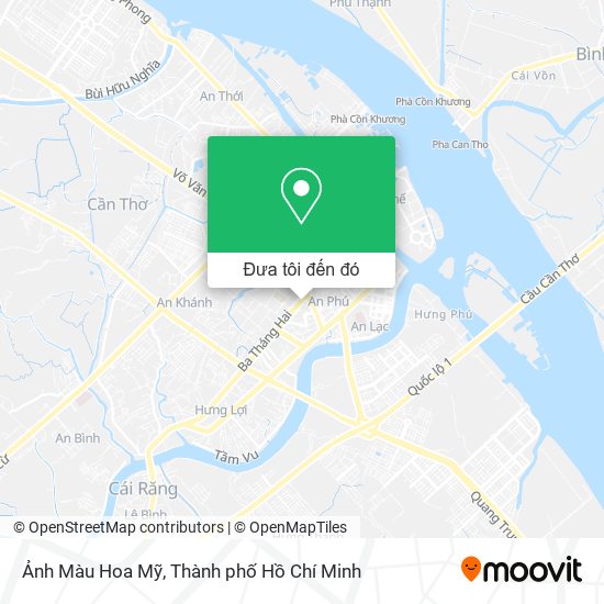 Bản đồ Ảnh Màu Hoa Mỹ
