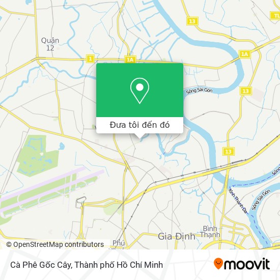 Bản đồ Cà Phê Gốc Cây