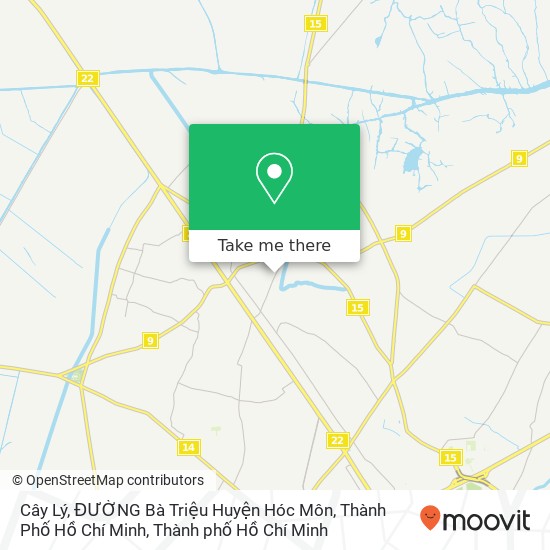 Bản đồ Cây Lý, ĐƯỜNG Bà Triệu Huyện Hóc Môn, Thành Phố Hồ Chí Minh