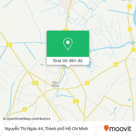 Bản đồ Nguyễn Thị Ngâu 44