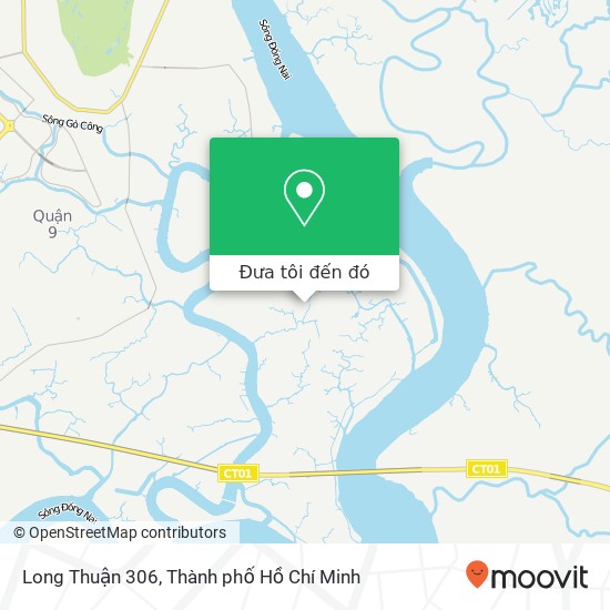 Bản đồ Long Thuận 306