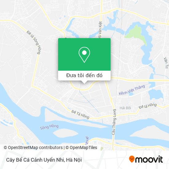 Bản đồ Cây Bể Cá Cảnh Uyển Nhi