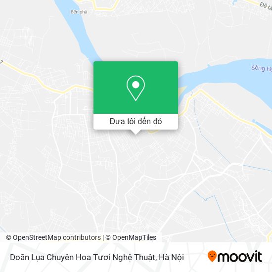Bản đồ Doãn Lụa Chuyên Hoa Tươi Nghệ Thuật