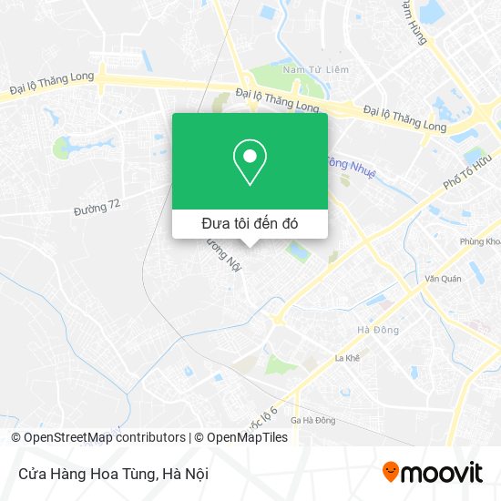 Bản đồ Cửa Hàng Hoa Tùng