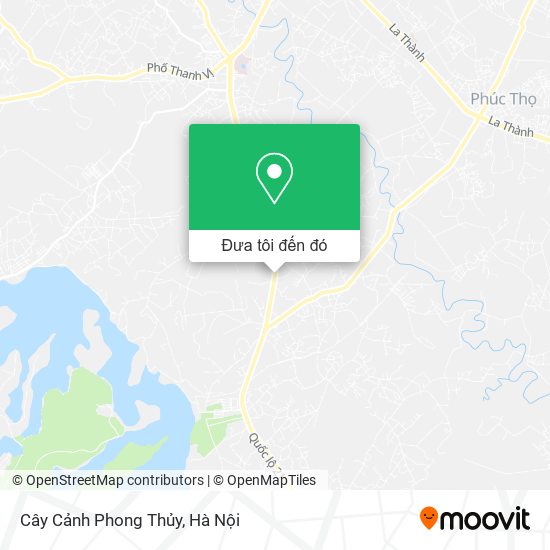 Bản đồ Cây Cảnh Phong Thủy