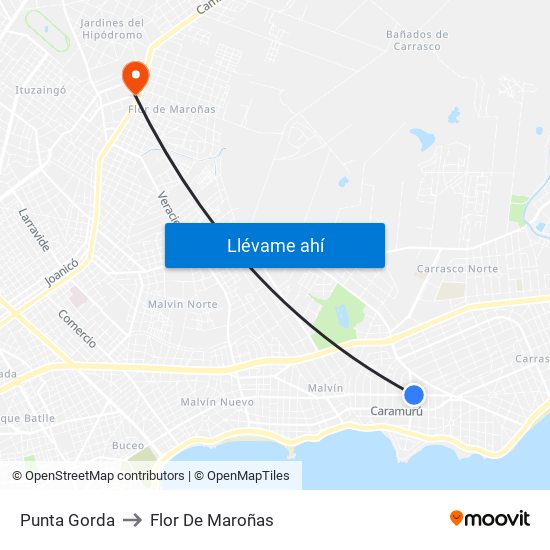 Punta Gorda to Flor De Maroñas map